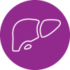 Liver icon