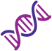 Graphic of DNA