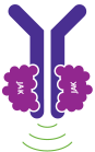 Graphic of Normal Signaling of JAK proteins that affect the production of blood cells in the bone marrow.