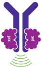 Graphic of Overactive Signaling of JAK proteins causing the body to make the wrong number of blood cells.