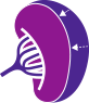 Graphic of spleen with arrows to represent spleen reduction.