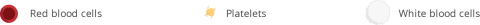img  key