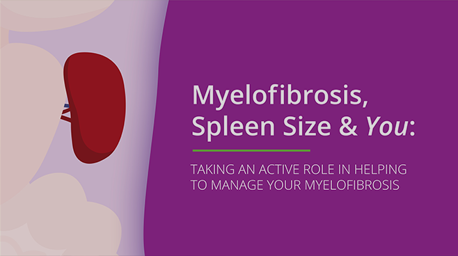 Thumbnail image of Myelofibrosis, Spleen Size & You