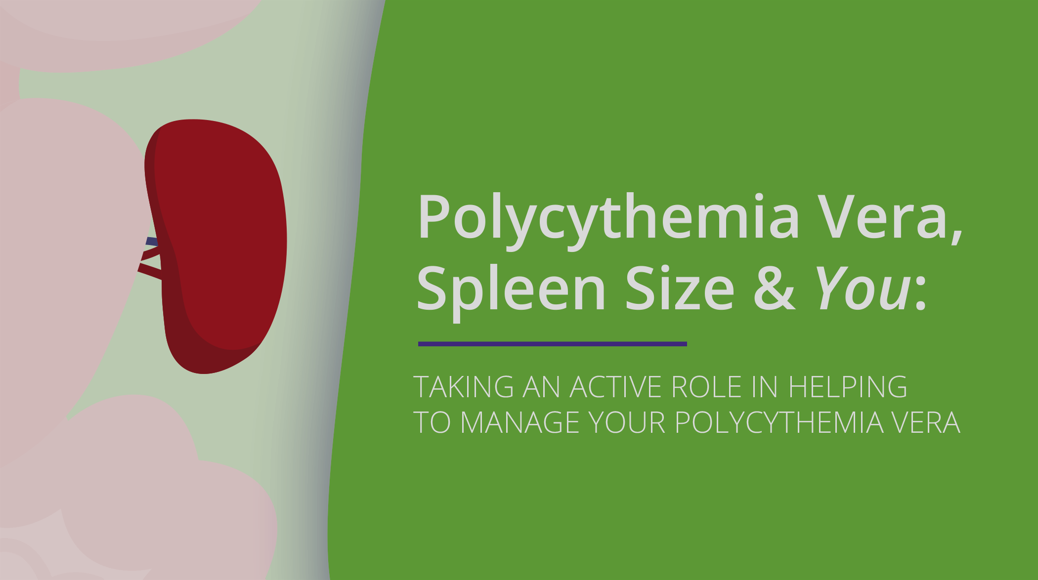 Image of video with the text: Polycythemia Vera, Spleen Size & You: TAKING AN ACTIVE ROLE IN HELPING TO MANAGE YOUR POLYCYTHEMIA VERA