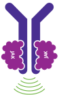 Graphic of Overactive Signaling of JAK proteins causing the body to make the wrong number of blood cells.
