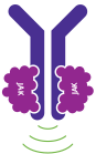 Graphic of normal signaling of JAK proteins that affect the production of blood cells in the bone marrow; graphic of overactive signaling of JAK proteins causing the body to make the wrong number of blood cells