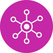 Nervous system Icon