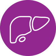 Liver Icon