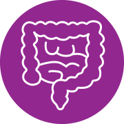Digestive System Icon