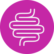 Digestive System Icon