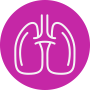 Lungs Icon
