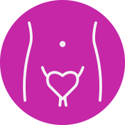 Genitals Icon